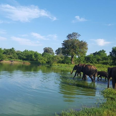 Kuma Safari Lodge Udawalawe Ngoại thất bức ảnh