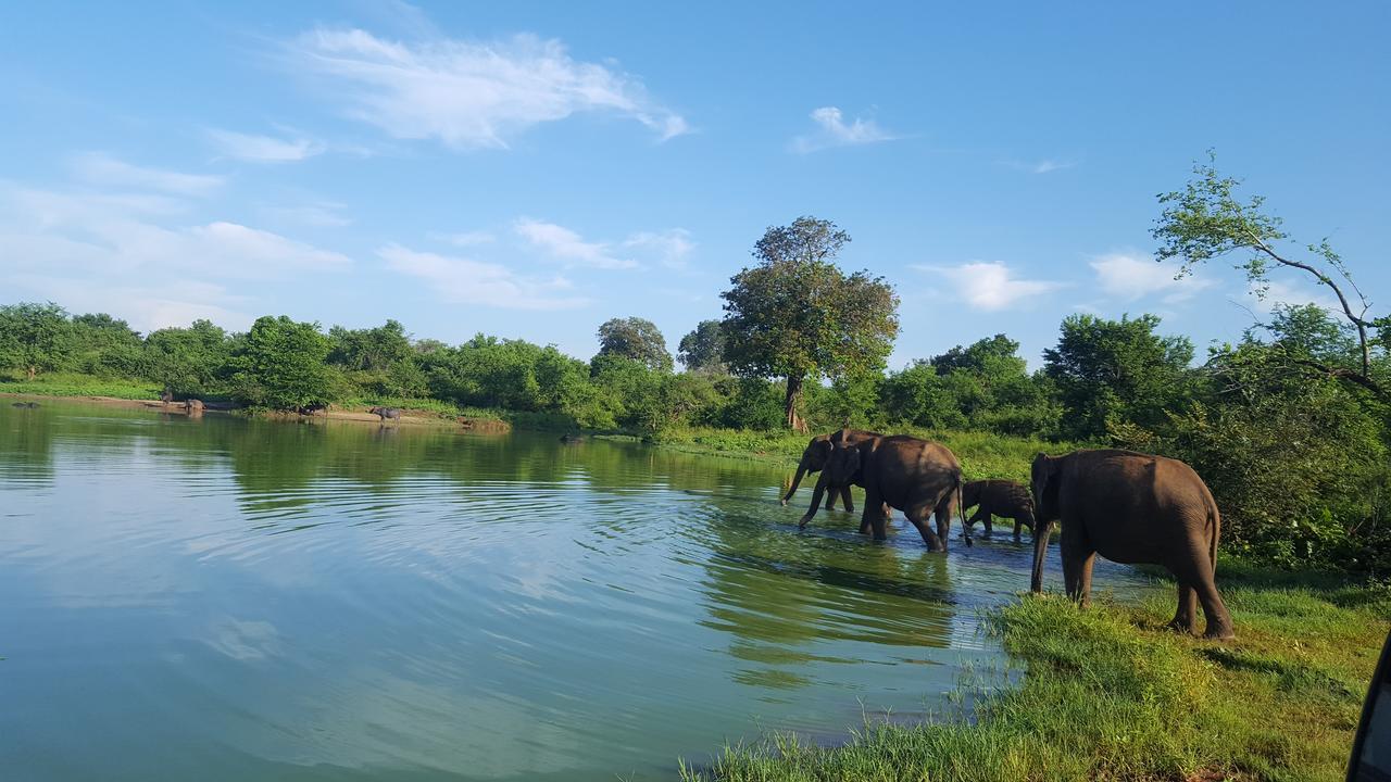 Kuma Safari Lodge Udawalawe Ngoại thất bức ảnh